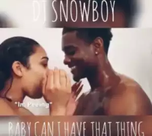 DJ Snowboy - Baby Can I Have That Thing (Amapiano)